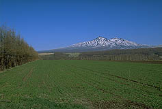 クリックすると拡大写真 約57K