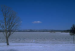 クリックすると拡大写真 約32K