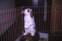 ��������̂��ȁ`�H