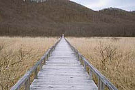 ���H�E�����̏Љ��