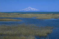 ���k�̏Љ��