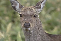 �G�]�V�J�ʐ^�W��