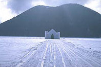 �эL�E�R�ʂ̏Љ��