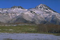 �m���E�Η��̏Љ��