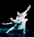 �I�[�����P�Ɖ��q