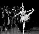 ����݊���̃R�����r�[�k�l�`