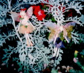 �o���G�ȗd������