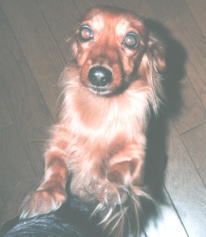 �^���̂��߂�