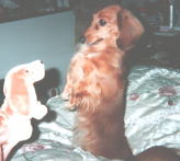 �����傤�����Q