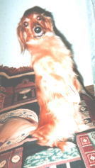 �\�t�@�ł����傤����