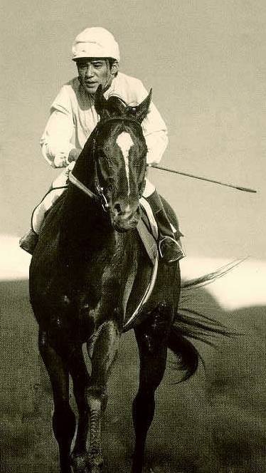 激レア競馬 馬券 名馬 テンポイント 激レア競馬 馬券 名馬 テンポイント 激レア競馬 馬券 名馬 テン