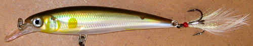 XR10 AYU