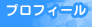 �v���t�B�[��